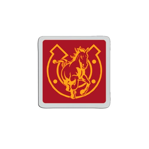 PSB271 Plastic Badge