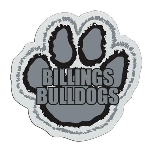 PSB451 Plastic Badge
