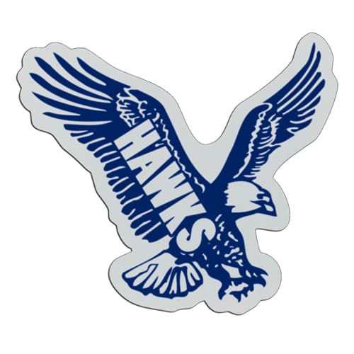 PSB751 Plastic Badge
