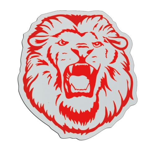 PSB811 Plastic Badge