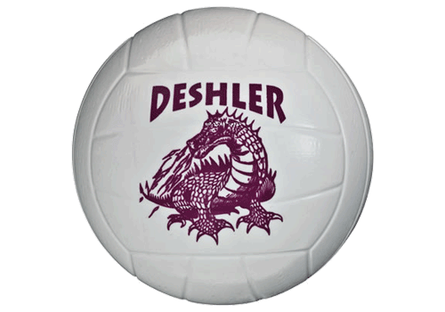 Volleyball