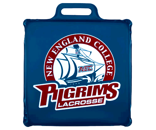Stadium Cushion