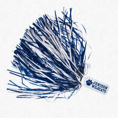 Solid Handle Pom Poms